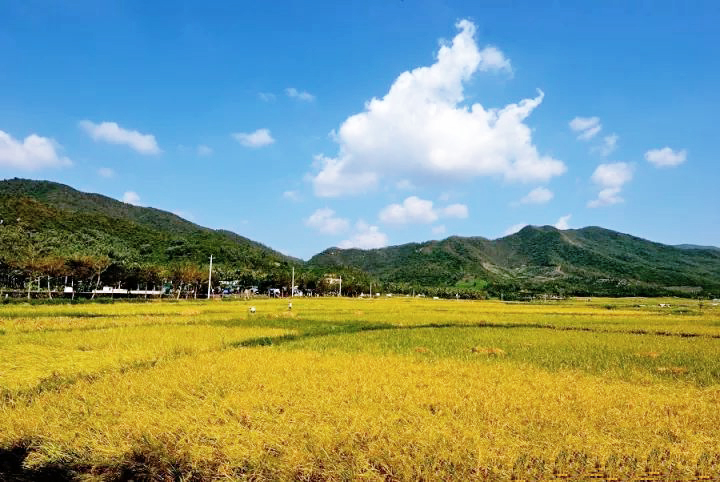 海南三亞天涯區(qū)文門村農(nóng)村生活污水治理工程